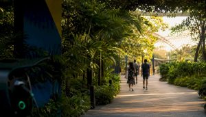 Getting to Gardens by the Bay: your complete transport guide