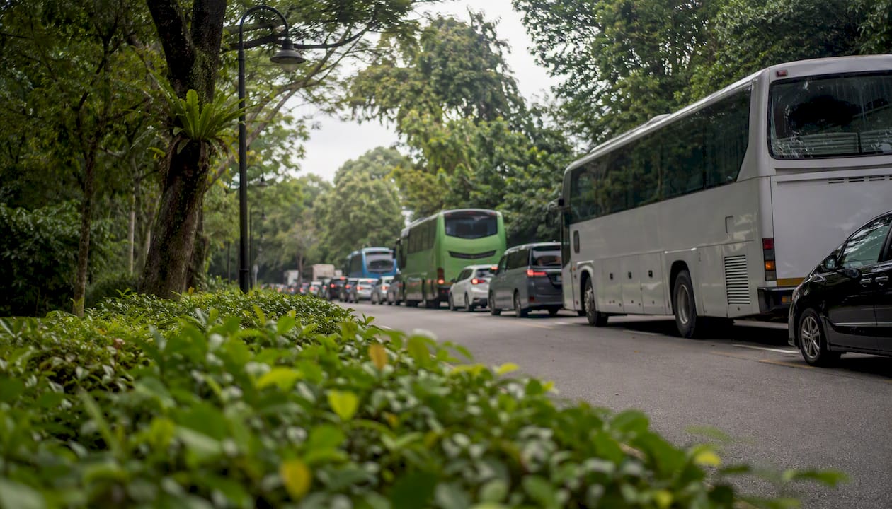 Traffic buffer at Singapore Zoo drop-off area