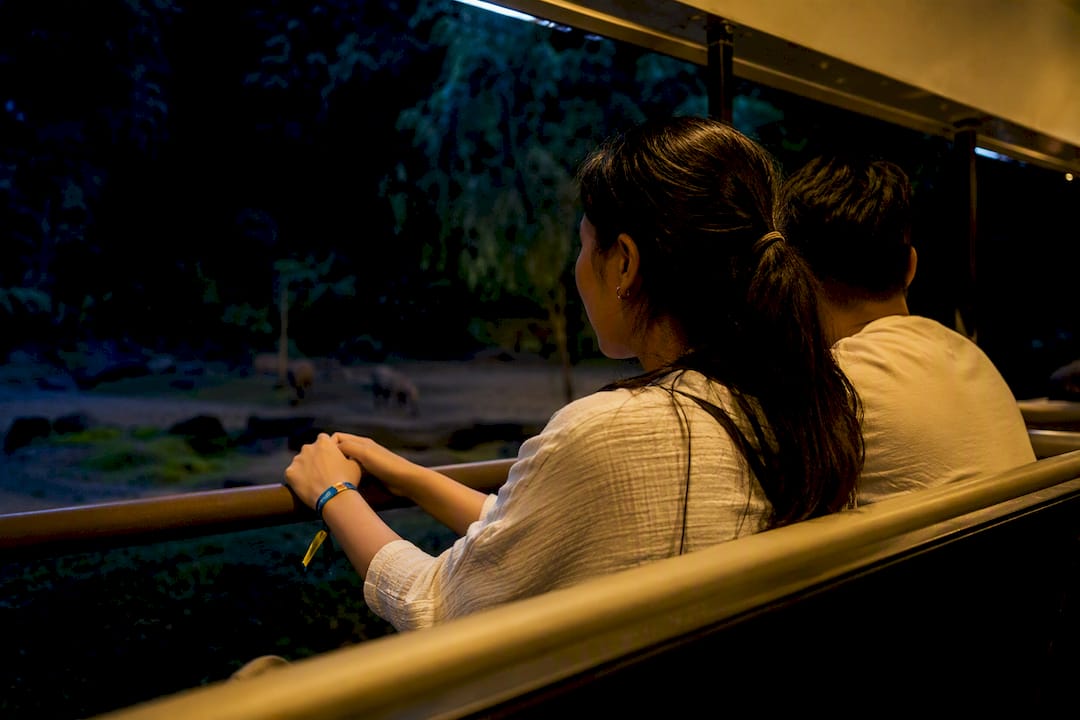 Visitors viewing wildlife from Night Safari tram
